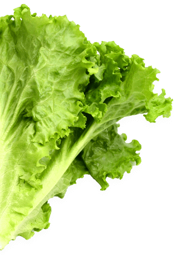 aa