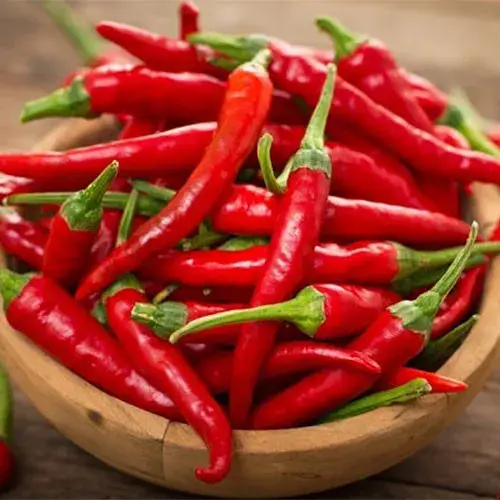 Chili Pepper