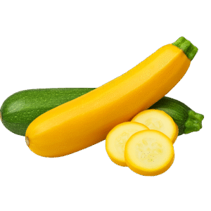 Zucchini
