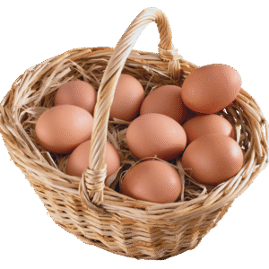 Eggs