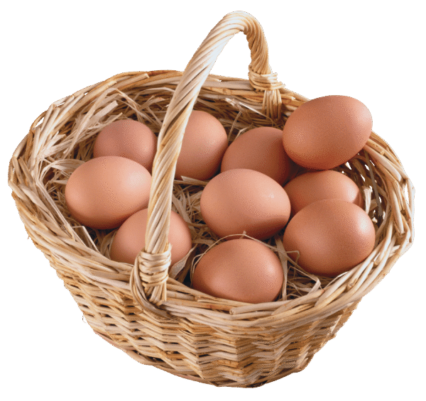 Eggs