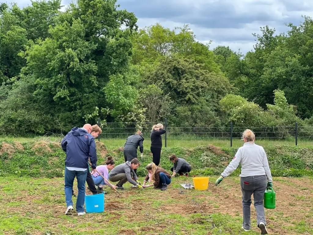 people planting crops