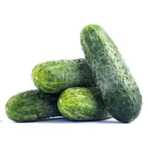 Cucumber