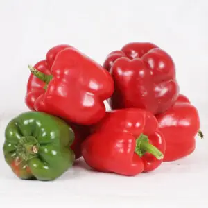 Pepper